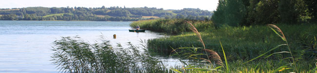 Ekowakacje nad jeziorem